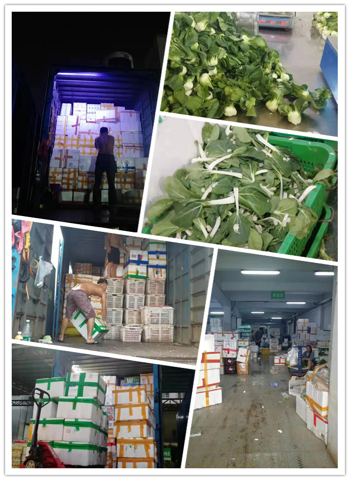 中国·6163天河(股份)有限公司-官方网站