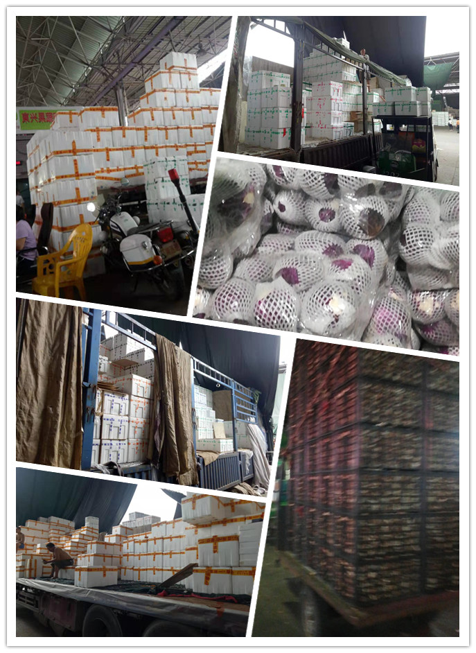 中国·6163天河(股份)有限公司-官方网站