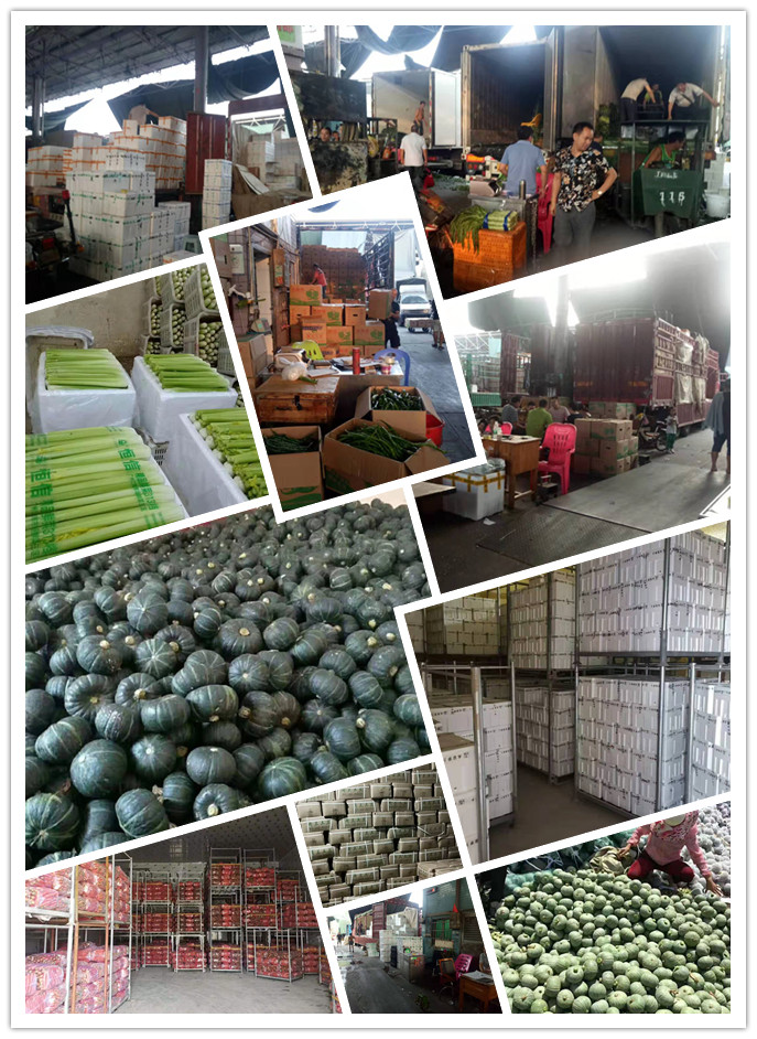 中国·6163天河(股份)有限公司-官方网站