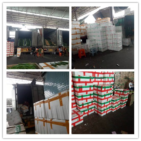 中国·6163天河(股份)有限公司-官方网站