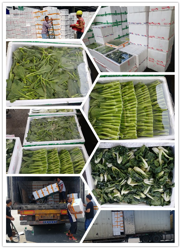 中国·6163天河(股份)有限公司-官方网站