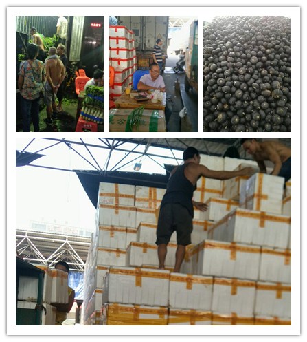 中国·6163天河(股份)有限公司-官方网站