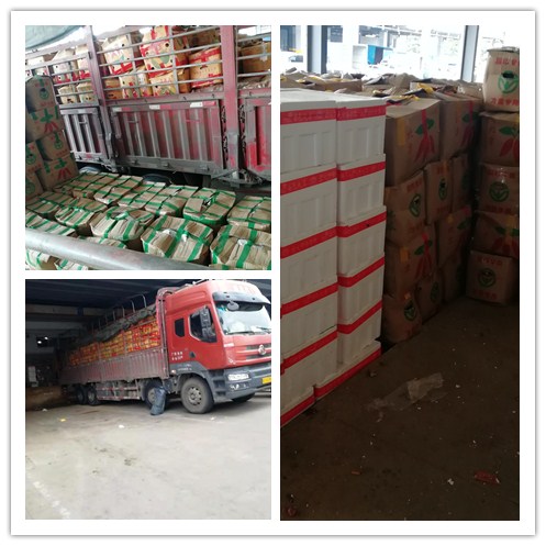 中国·6163天河(股份)有限公司-官方网站