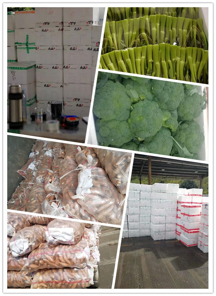 中国·6163天河(股份)有限公司-官方网站