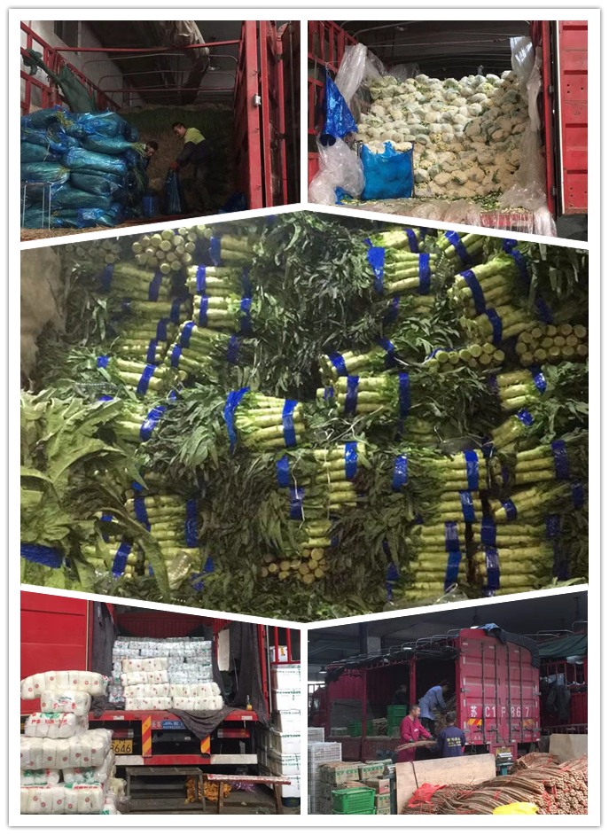 中国·6163天河(股份)有限公司-官方网站