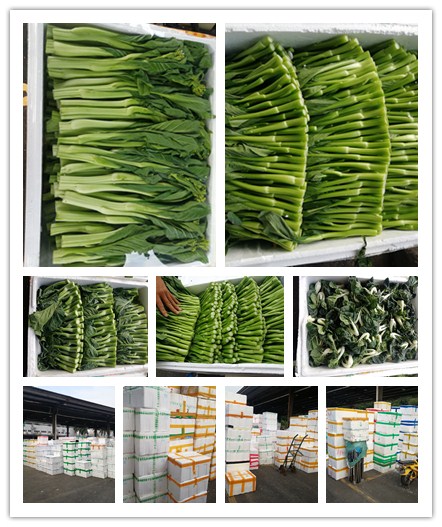 中国·6163天河(股份)有限公司-官方网站