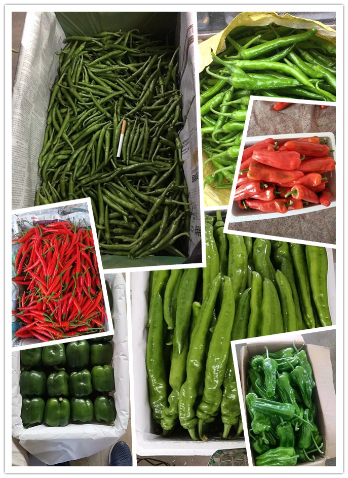 中国·6163天河(股份)有限公司-官方网站