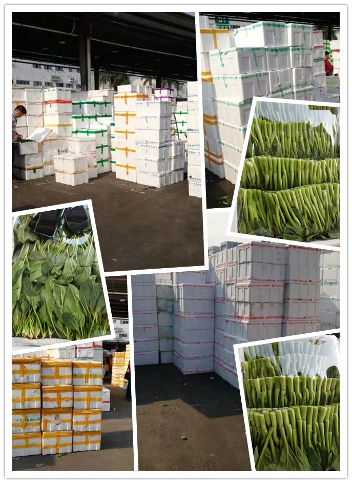 中国·6163天河(股份)有限公司-官方网站