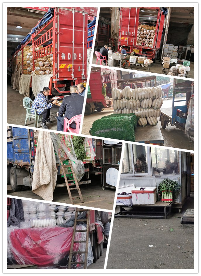 中国·6163天河(股份)有限公司-官方网站