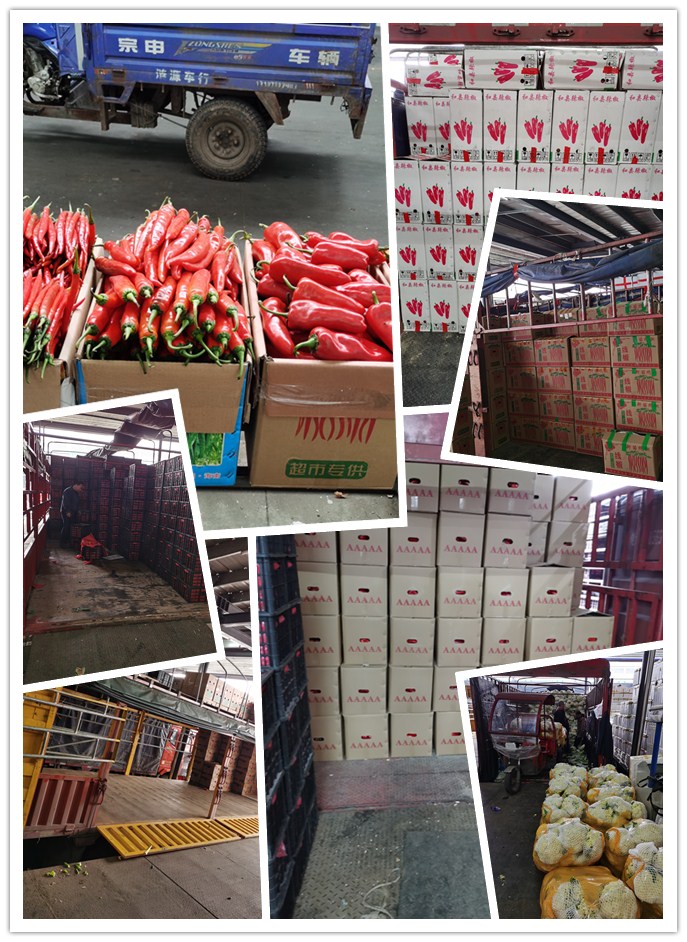 中国·6163天河(股份)有限公司-官方网站