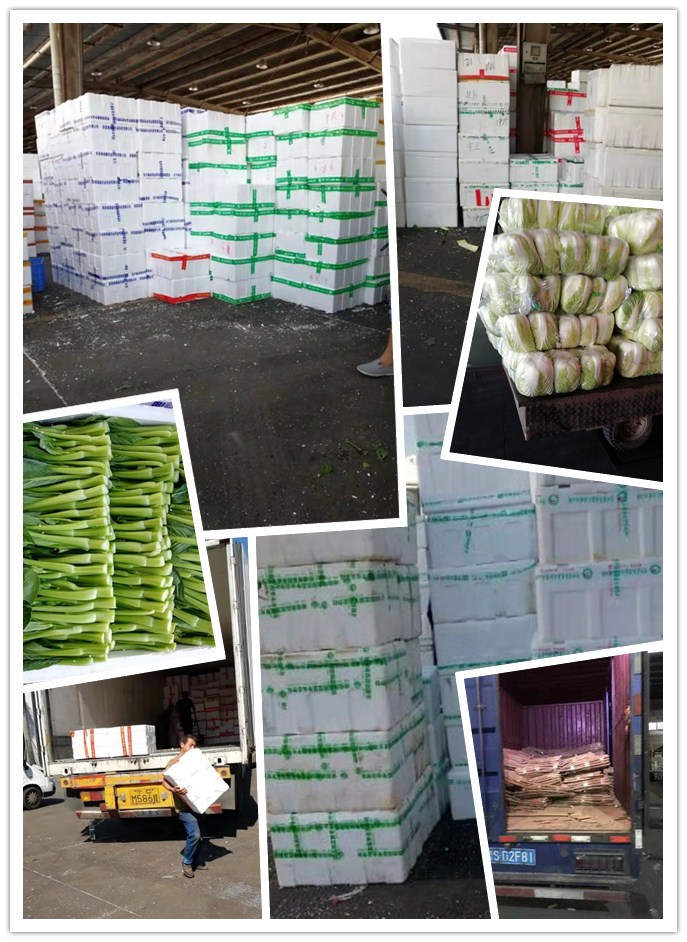 中国·6163天河(股份)有限公司-官方网站