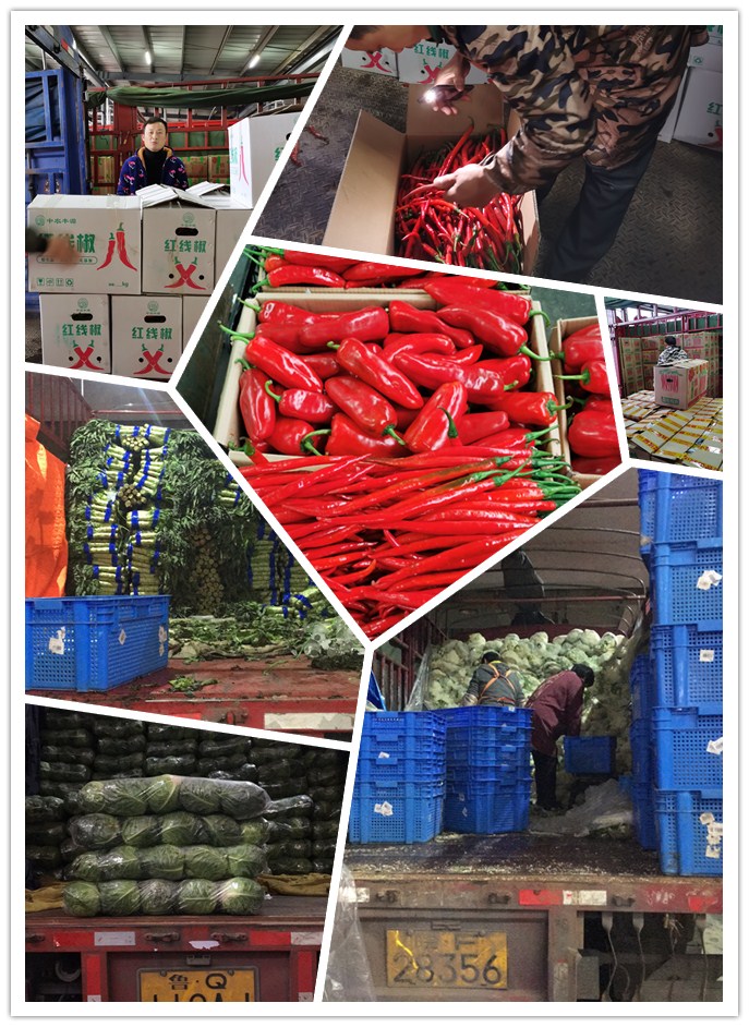 中国·6163天河(股份)有限公司-官方网站