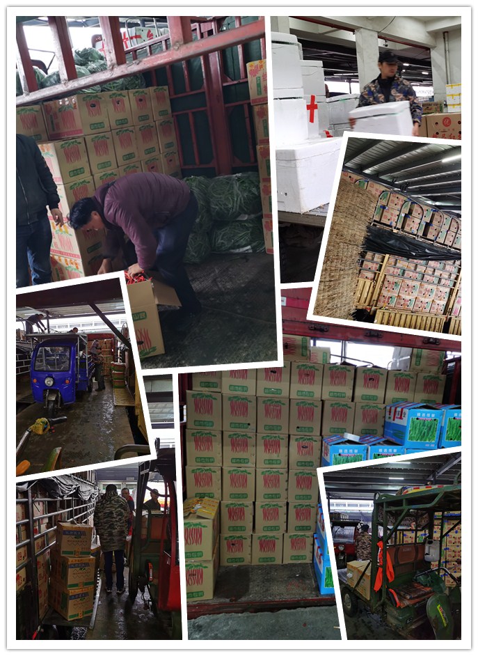 中国·6163天河(股份)有限公司-官方网站