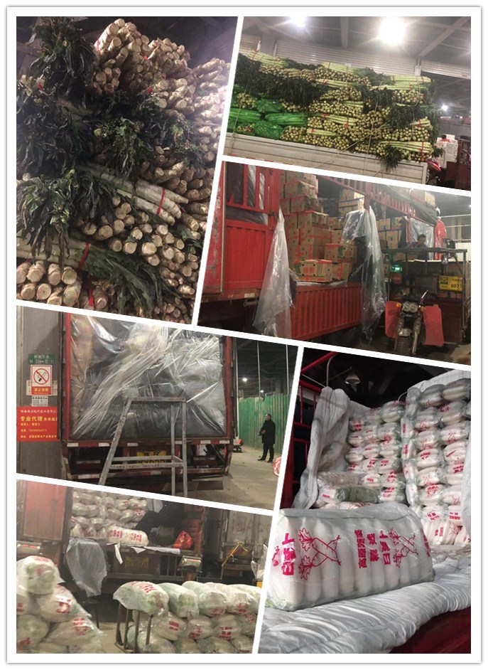 中国·6163天河(股份)有限公司-官方网站