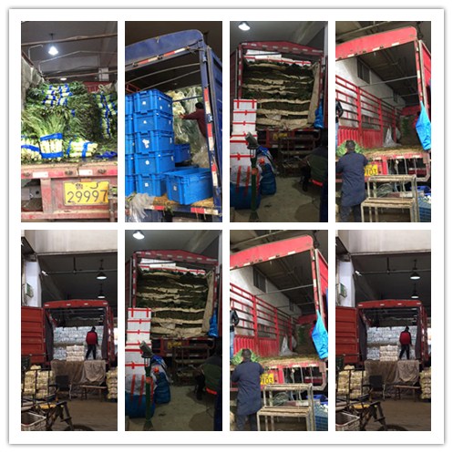 中国·6163天河(股份)有限公司-官方网站