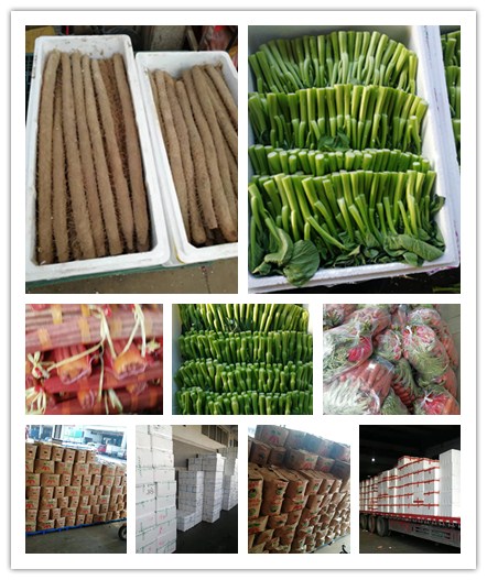 中国·6163天河(股份)有限公司-官方网站