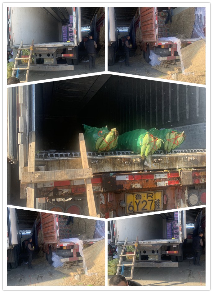 中国·6163天河(股份)有限公司-官方网站