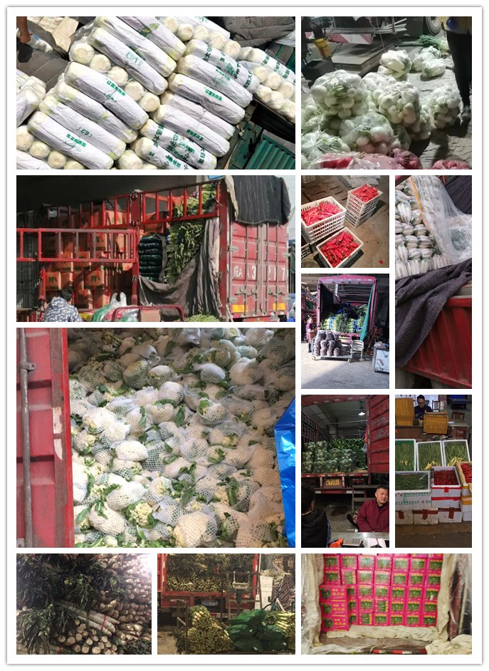 中国·6163天河(股份)有限公司-官方网站