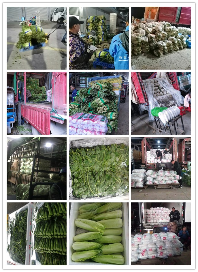 中国·6163天河(股份)有限公司-官方网站