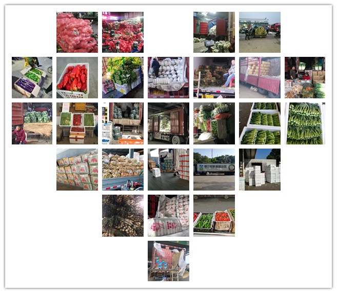 中国·6163天河(股份)有限公司-官方网站