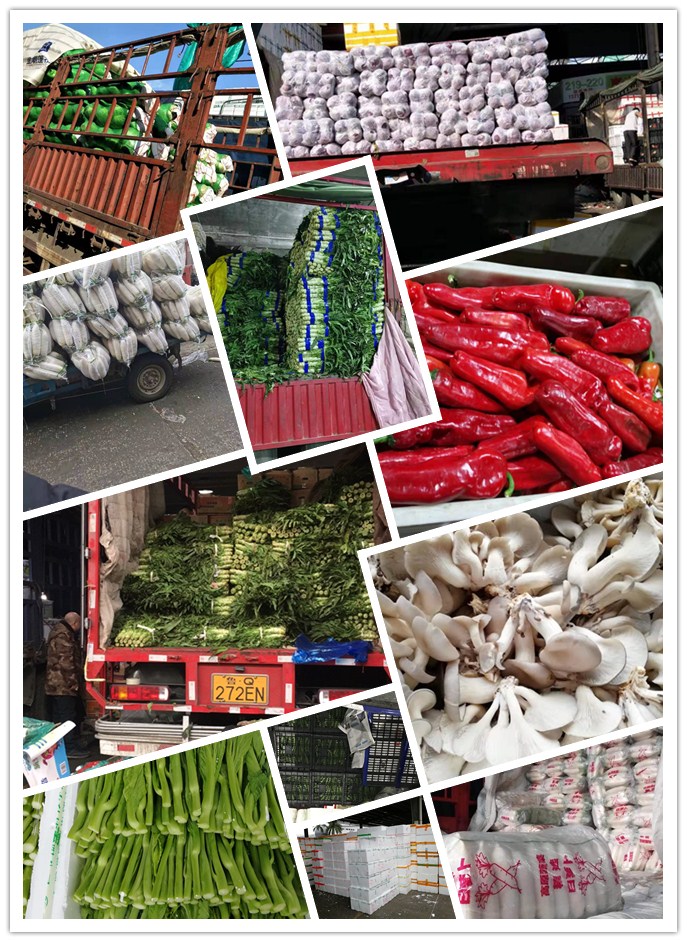 中国·6163天河(股份)有限公司-官方网站