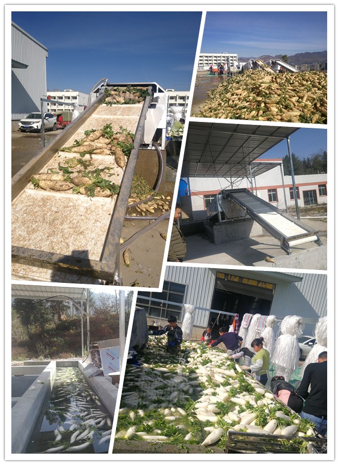 中国·6163天河(股份)有限公司-官方网站