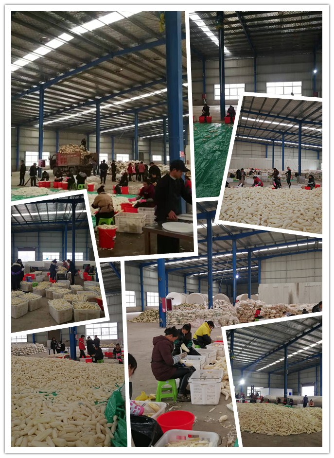 中国·6163天河(股份)有限公司-官方网站