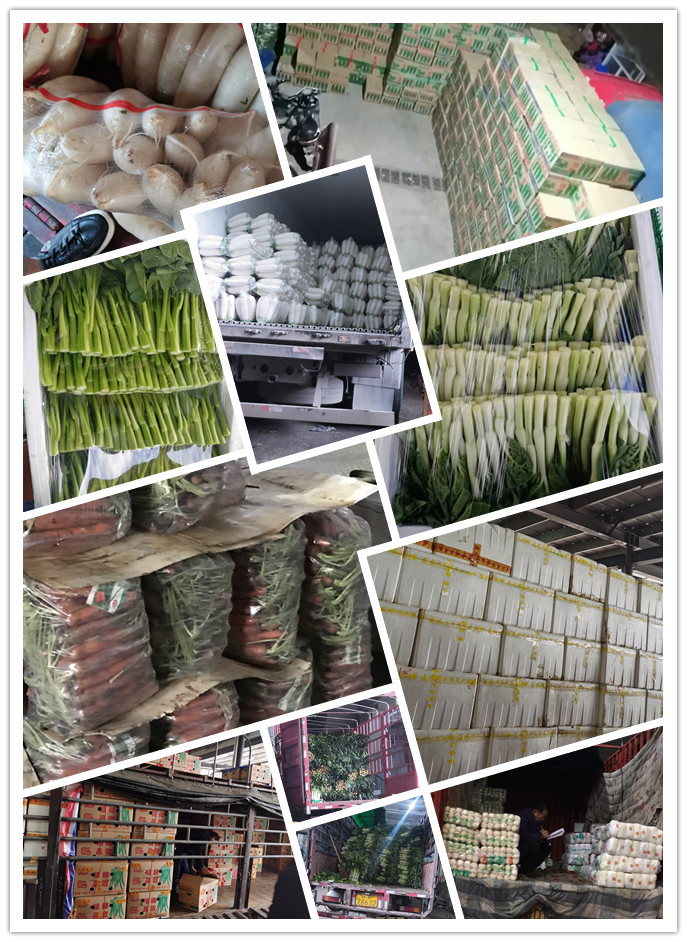 中国·6163天河(股份)有限公司-官方网站