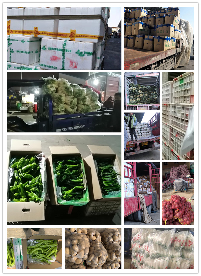 中国·6163天河(股份)有限公司-官方网站