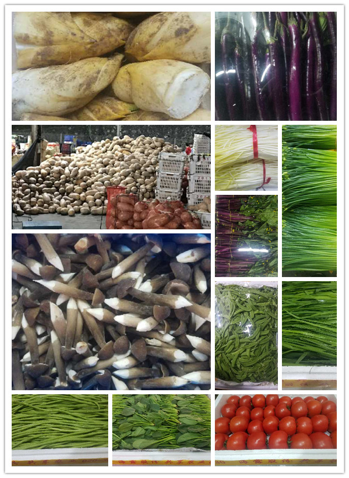 中国·6163天河(股份)有限公司-官方网站