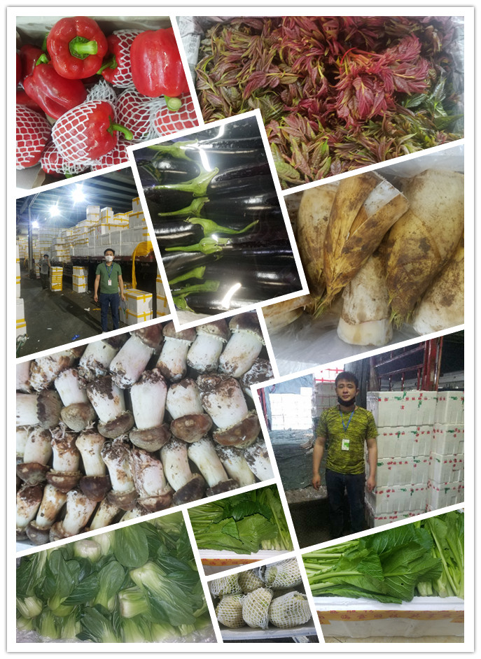 中国·6163天河(股份)有限公司-官方网站