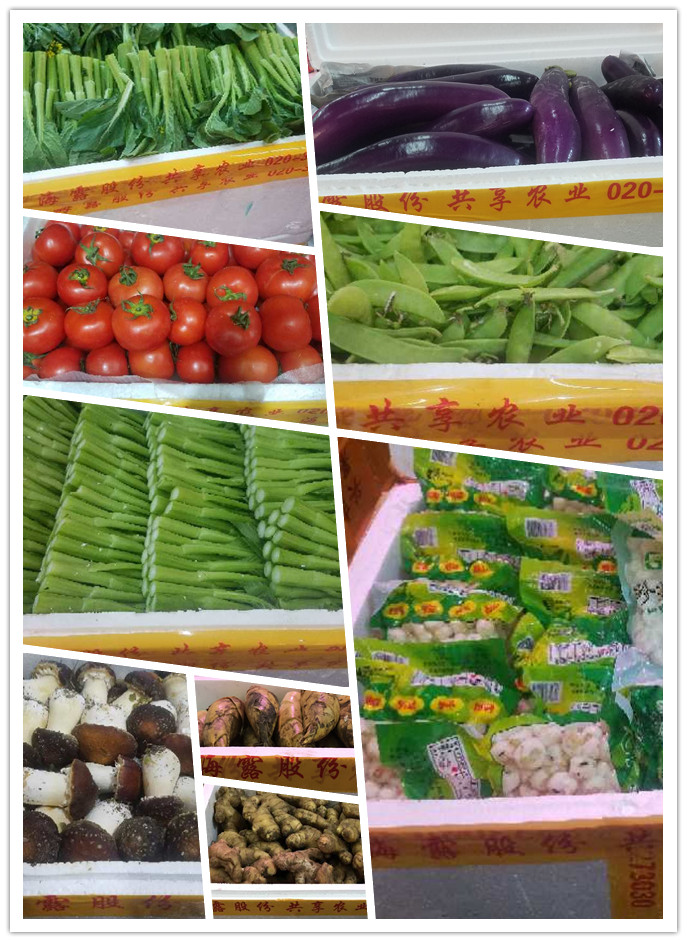 中国·6163天河(股份)有限公司-官方网站