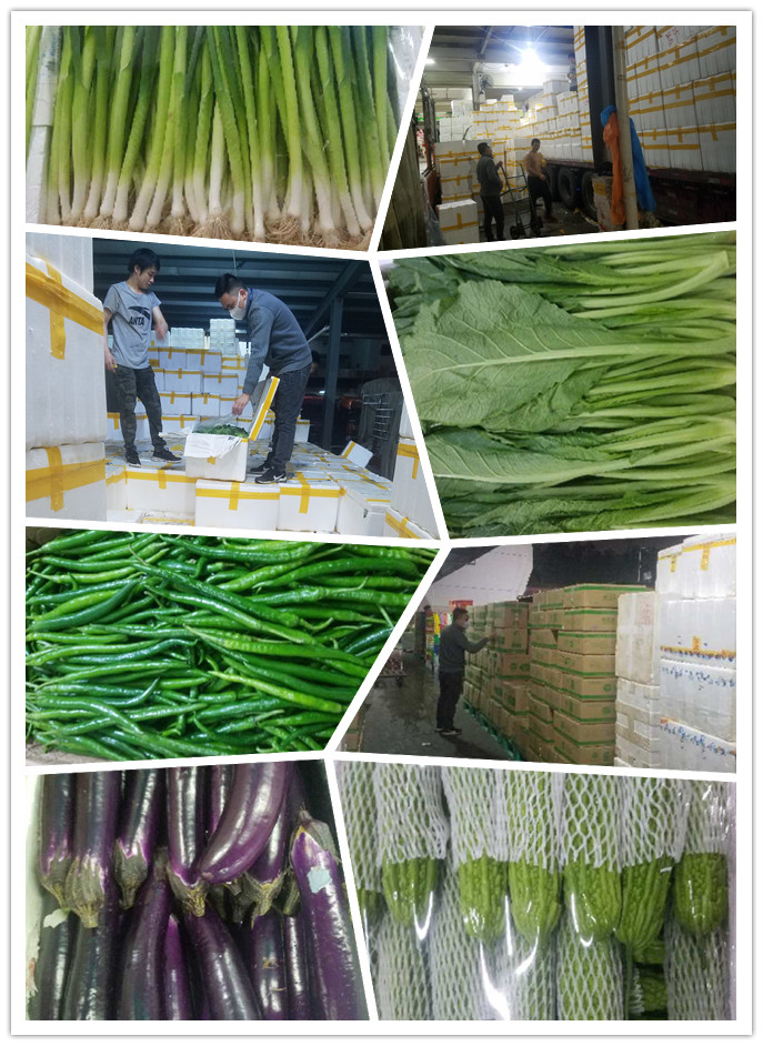 中国·6163天河(股份)有限公司-官方网站