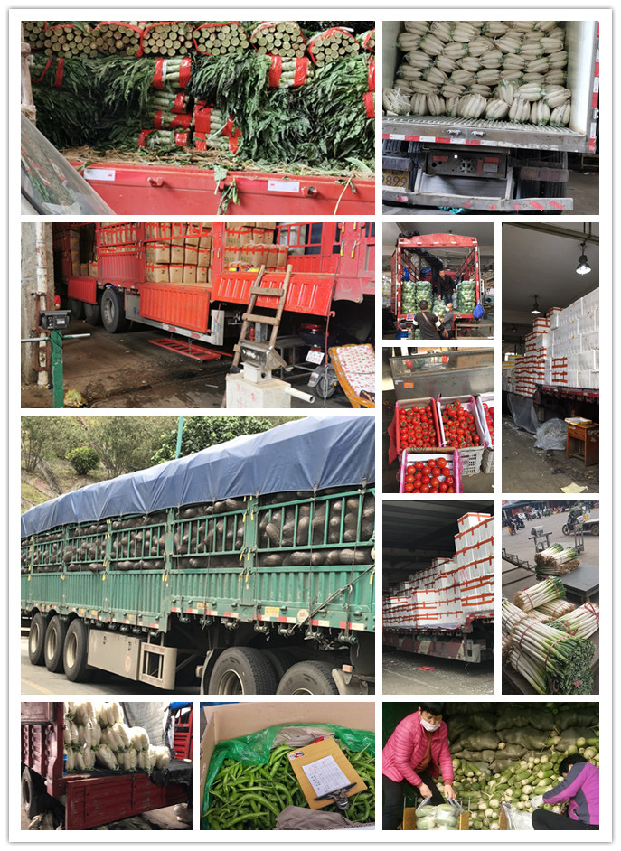 中国·6163天河(股份)有限公司-官方网站