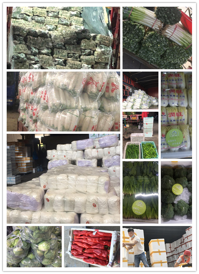 中国·6163天河(股份)有限公司-官方网站