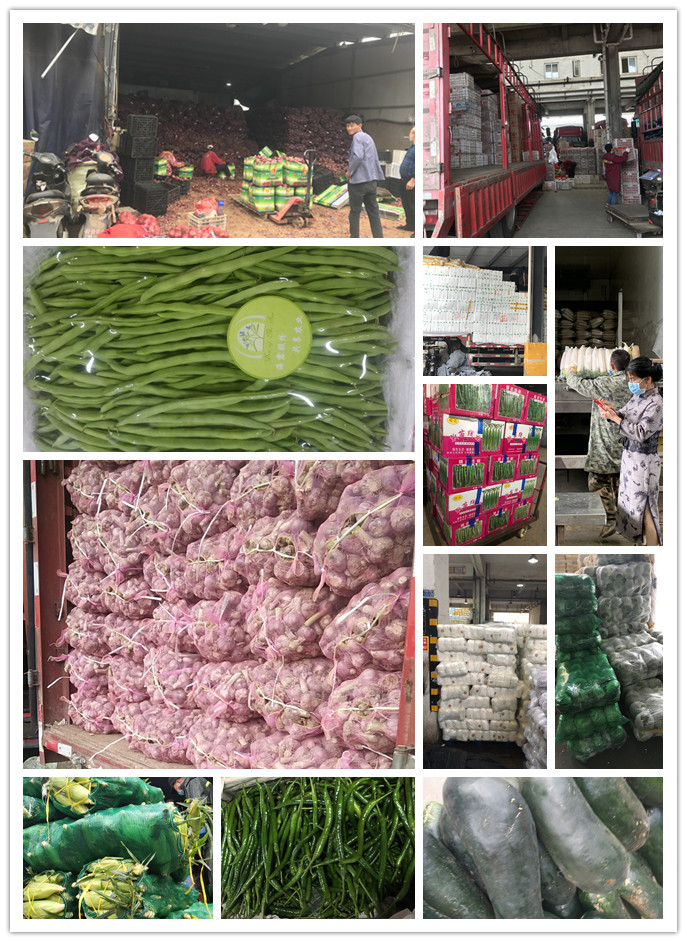 中国·6163天河(股份)有限公司-官方网站