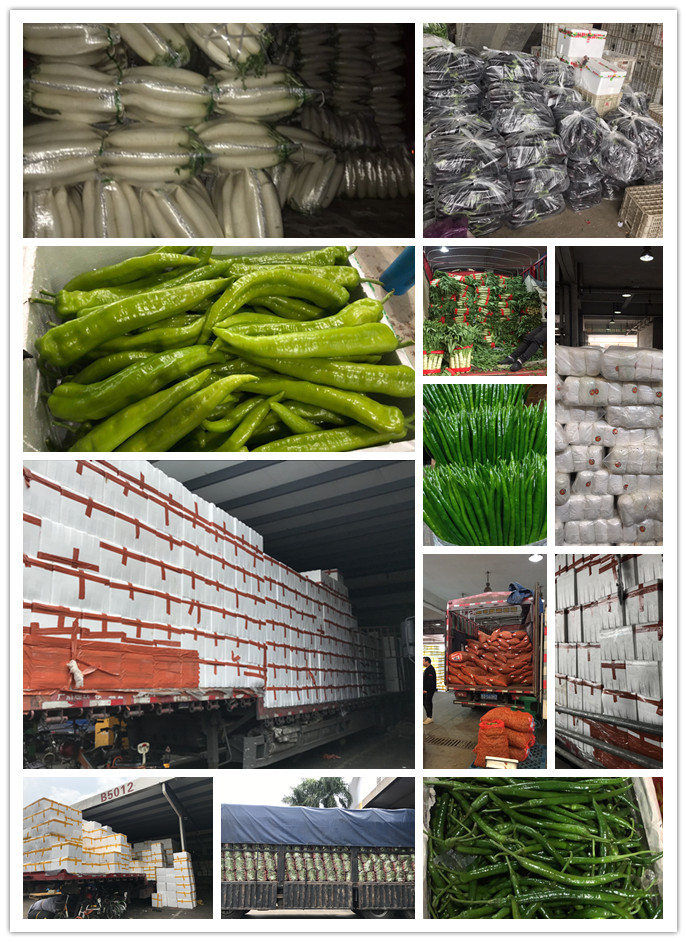 中国·6163天河(股份)有限公司-官方网站