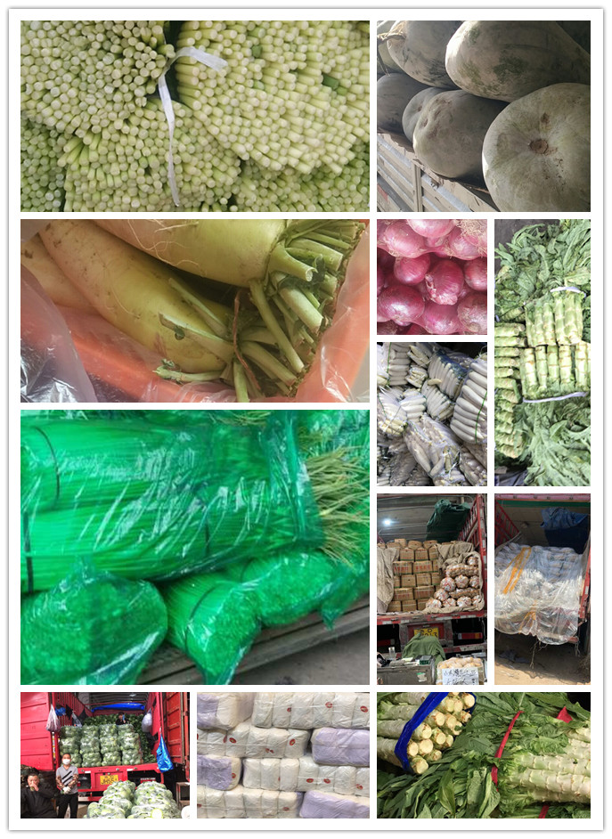 中国·6163天河(股份)有限公司-官方网站