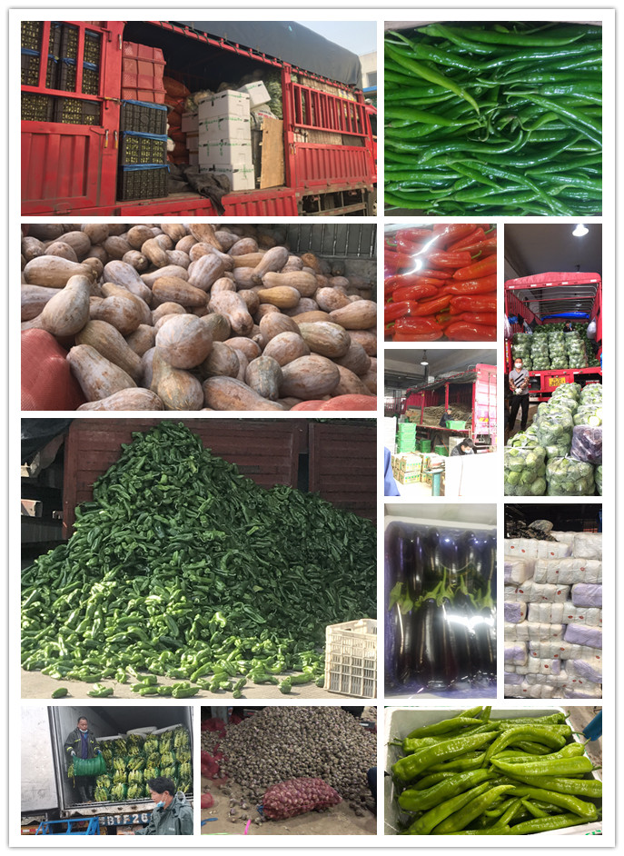 中国·6163天河(股份)有限公司-官方网站