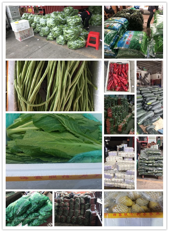 中国·6163天河(股份)有限公司-官方网站