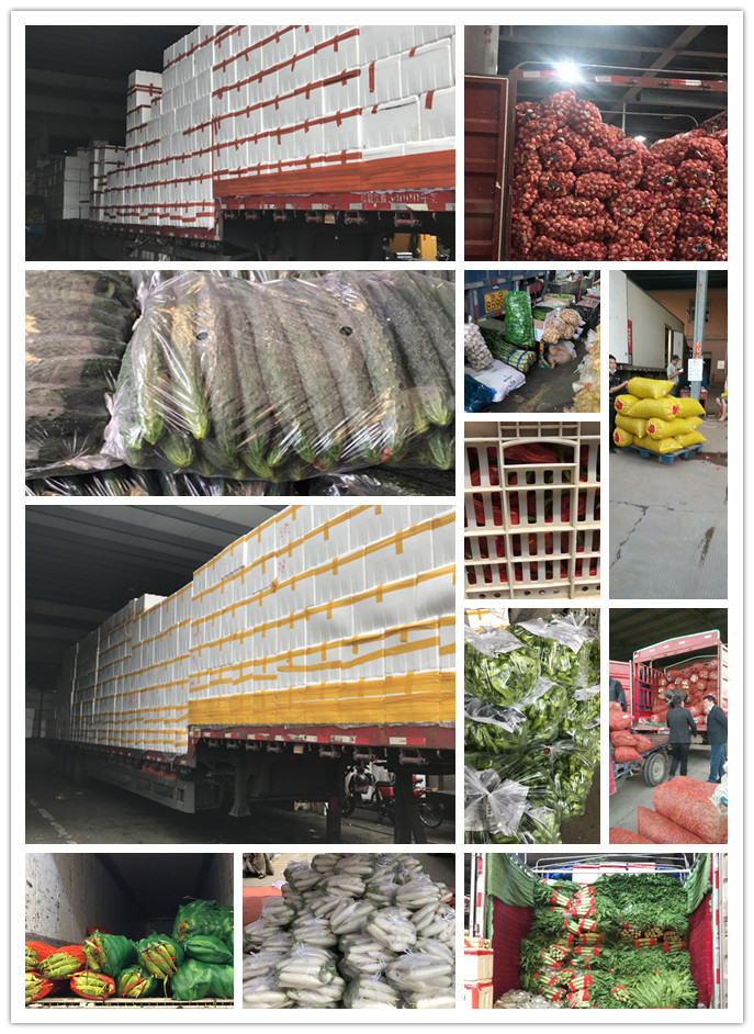 中国·6163天河(股份)有限公司-官方网站