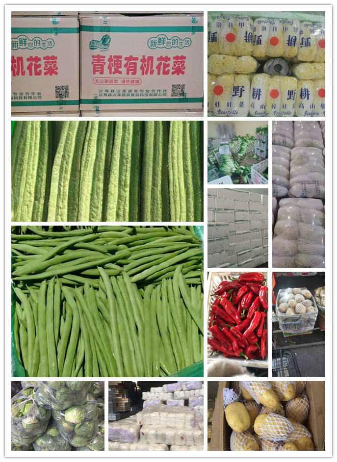 中国·6163天河(股份)有限公司-官方网站