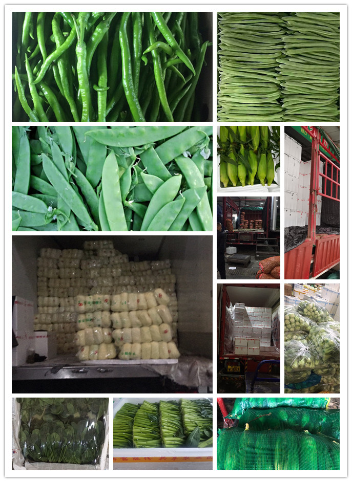 中国·6163天河(股份)有限公司-官方网站