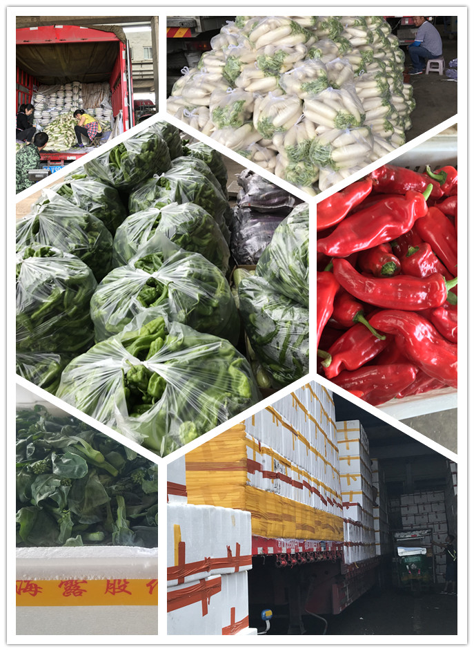 中国·6163天河(股份)有限公司-官方网站