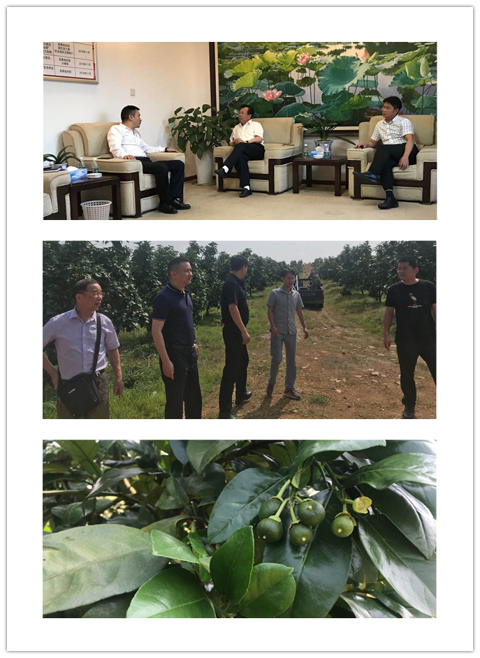 中国·6163天河(股份)有限公司-官方网站