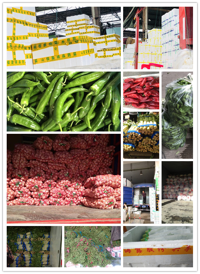 中国·6163天河(股份)有限公司-官方网站