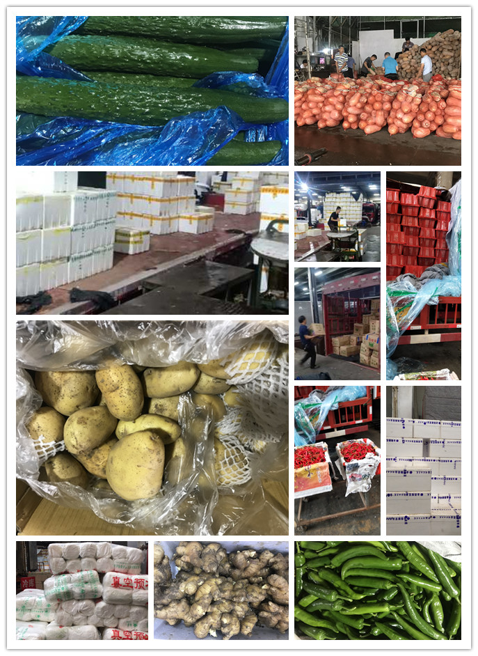 中国·6163天河(股份)有限公司-官方网站