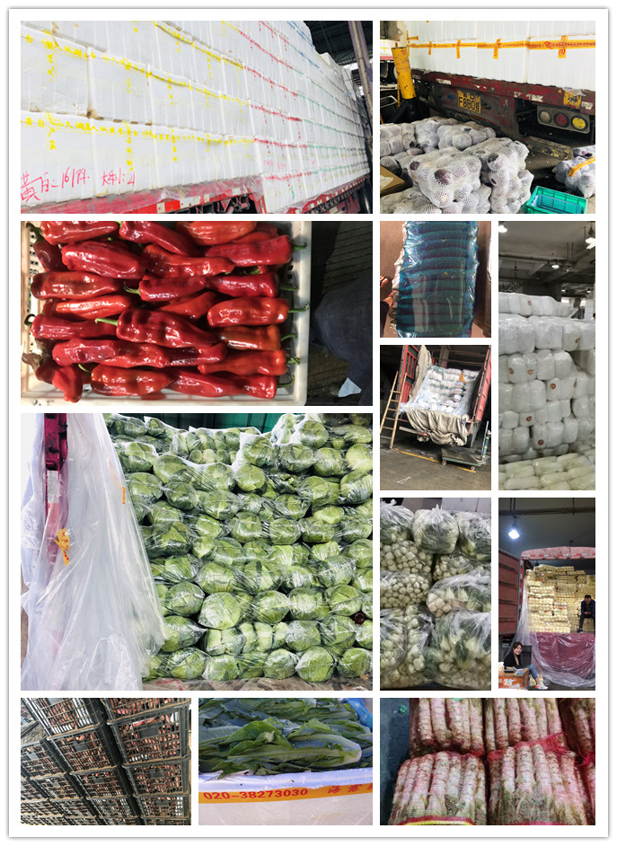 中国·6163天河(股份)有限公司-官方网站