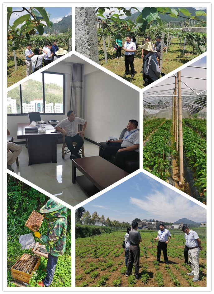 中国·6163天河(股份)有限公司-官方网站