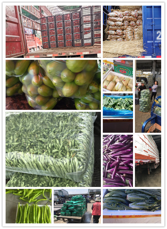 中国·6163天河(股份)有限公司-官方网站